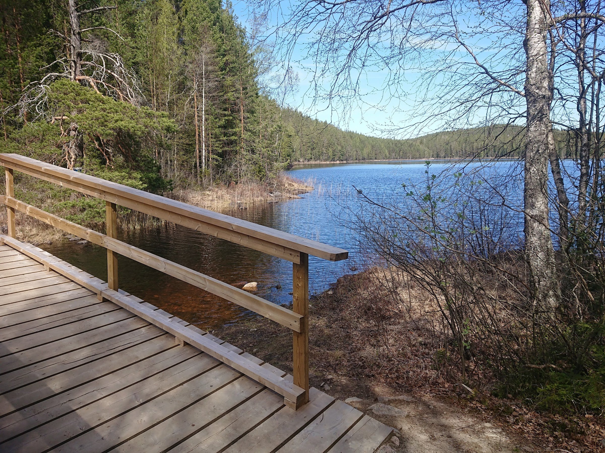 Repovesi National Park